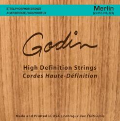 Godin Merlin Strings
