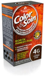 Color & Soin 4G chatain dore