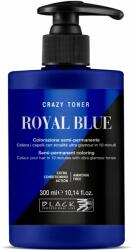 Black Professional - Royal Blue, 300ml