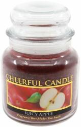Cheerful Candle CHEERFUL, alma, 454 g