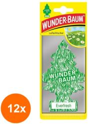 Wunder-Baum Set 12 x Odorizant Auto Everfresh, Wunder-Baum (DEM-12xMDR-7002)