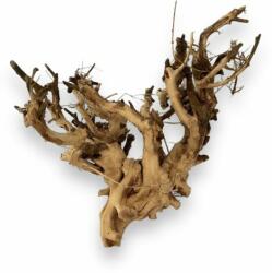 AquaNet Etosha Tree fa S / 10-15 cm (AQNDEK7533)