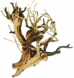 AquaNet Etosha Tree fa M / 15-25 cm (AQNDEK7534)