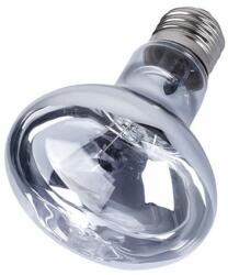  Repti-Zoo Neodymium Daylight Spot melegítő UVA terrárium izzó - 100W E27 ((RZ)B80100)