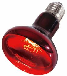  Repti-Zoo Infrared Heat infravörös terrárium izzó - 100W E27 ((RZ)R80100)