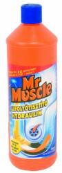 Mr muscle Lefolyótisztító MR MUSCLE 1L - fotoland