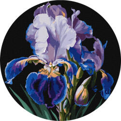 Ideyka Set pictura pe numere rotunda, cu sasiu, Iris delicat, O33cm (KHO-R1021)