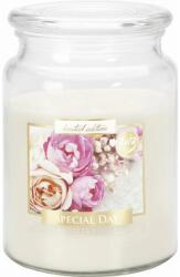 BISPOL Lumânare aromată Special Day - Bispol Premium Line Scented Candle Special Day 500 g