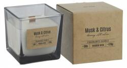 BISPOL Lumânare parfumată cu un fitil de lemn Musk & Citrus - Bispol Fragrance Candle Musk & Citrus 170 g