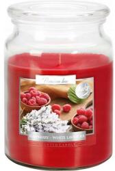 BISPOL Lumânare aromată Raspberry & White Lavender - Bispol Premium Aura Raspberry & White Lavender 500 g