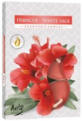 BISPOL Set lumânări Hibiscus White Sage - Bispol Hibiscus White Sage Scented Candles 6 buc