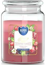 BISPOL Lumânare aromată Juicy Fruit - Bispol Aura Scented Candle Juicy Fruit 500 g