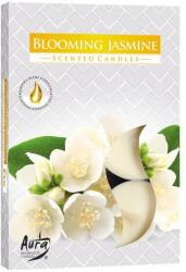 BISPOL Set lumânări de ceai „Flori de iasomie - Bispol Blooming Jasmine Scented Candles 6 buc