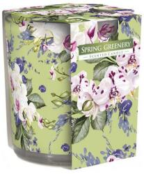 BISPOL Lumânare aromată Spring Greenery - Bispol Scented Candle Spring Greenery 100 g