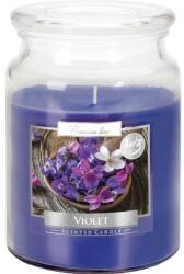 BISPOL Lumânare aromată Violet - Bispol Premium Line Scented Candle Violet 500 g