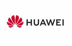 Huawei MUFA ACCESORIU HUAWEI, 0~2GHz, 50OHM, 2W, TIP TATA (000000000027110001) - shoppix