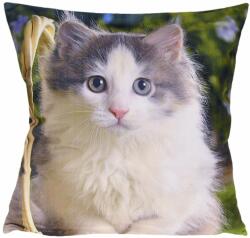 4-Home Față de pernă Pisică mică, 40 x 40 cm Lenjerie de pat