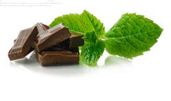 Warrior Premium ízesítőpor - édesítőszerrel, többféle ízben Chocolate Mint 50g