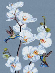 Ideyka Set pictura pe numere, cu sasiu, Orhidee, 30x40 cm (KHO3241)
