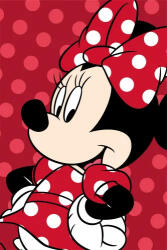  Disney Minnie Red mikroflanel takaró 100x150cm (JFK033777) - mesebazis