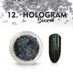 Hologram Secret 12