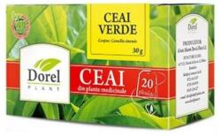 Dorel Plant Ceai verde 20 plicuri