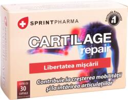 Sprint Pharma Supliment alimentar pentru protectia cartilajelor Cartilage Repair, 30 capsule, Sprint Pharma
