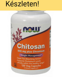NOW NOW Chitosan 500 mg 120 kapszula
