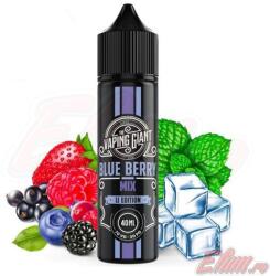 The Vaping Giant Lichid Blue Berry Mix The Vaping Giant 40ml (11050)