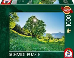 Schmidt Spiele Puzzle Schmidt din 1000 de piese - St. Gallen, Elveția (59761)