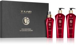 T-LAB Professional Aura Oil set cadou (pentru hranire si stralucire)