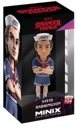 MINIX Netflix TV: Stranger Things - Steve (ADCMN13333) Figurina