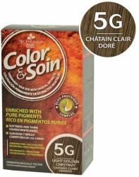 Color & Soin 5G chatain clair dore