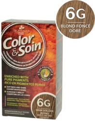 Color & Soin 6G blond fonce dore