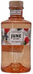 G'Vine June Wild Peach Summer Fruits Gin Liqueur 0,7 l 30%