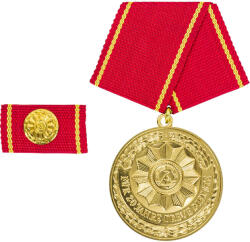 Surplus Militar Medalie Militara FUR 20 JAHRE TREUE DIENSTE Minister Aurie RDG - Surplus Militar