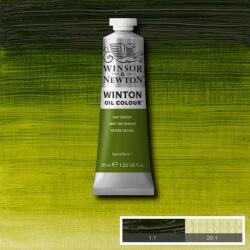 Winsor&Newton Winton olaj festék 37 ml/sap green