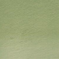 Derwent Tinted Charcoal színezett szénceruza/TC15 green moss