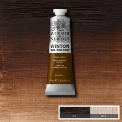  Winsor&Newton Winton olaj festék 37 ml/burnt umber