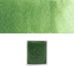 Pannoncolor akvarell festék/313 krómoxid zöld 1/2ml