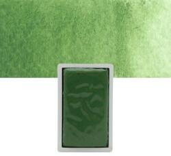 Pannoncolor akvarell festék/313 krómoxid zöld 1/4ml