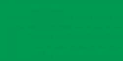 Royal Talens Design színes ceruza/60 light green