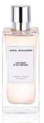 Angel Schlesser Les eaux dun instant Vibrant Woody Mandarin EDT 100 ml
