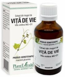 PlantExtrakt Extract din muguri de VITA DE VIE, 50 ml