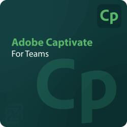 Adobe Captivate for Teams Corporate 1 - 9 User (65304754CA01A12)