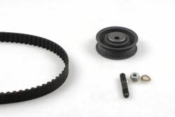 HEPU Set curea de distributie HEPU 20-1316 (20-1316) - automobilus