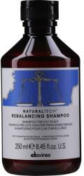 Davines Șampon pentru Echilibrare - Davines Rebalancing Shampoo 250 ml