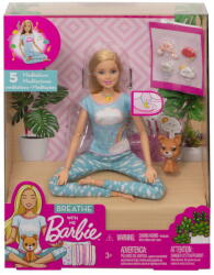 Mattel Barbie - Papusa Barbie 5 Exercitii De Meditatie (MTGNK01)