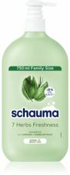 Schauma 7 Herbs gyógynövényes sampon normál és zsíros hajra 750 ml