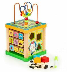 Eco Toys Cub educational din lemn cu tabla Ecotoys HM015473 (EDIHM015473)